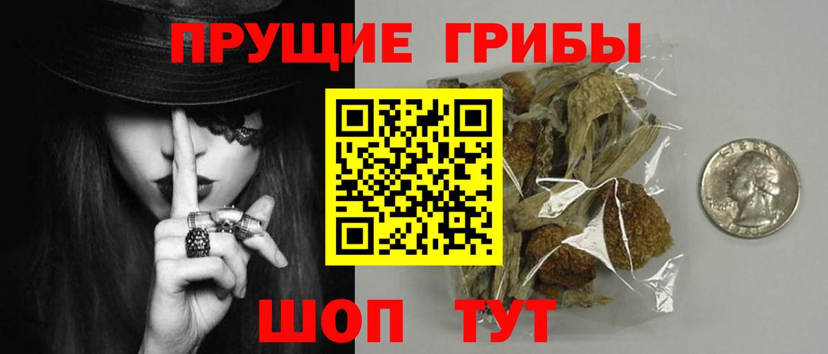 Псилоцибиновые грибы мицелий  Вход с VPN  Отрадное 