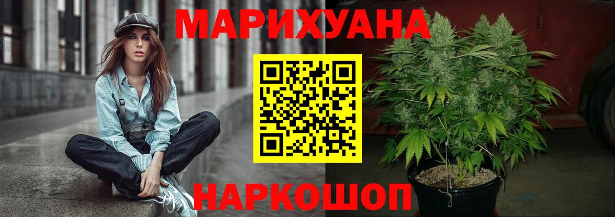 Бошки марихуана план  Марихуана OG Kush  Отрадное  Вход с VPN 